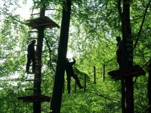 09-Am_naechsten_Tag_wieder_in_den_Seilen