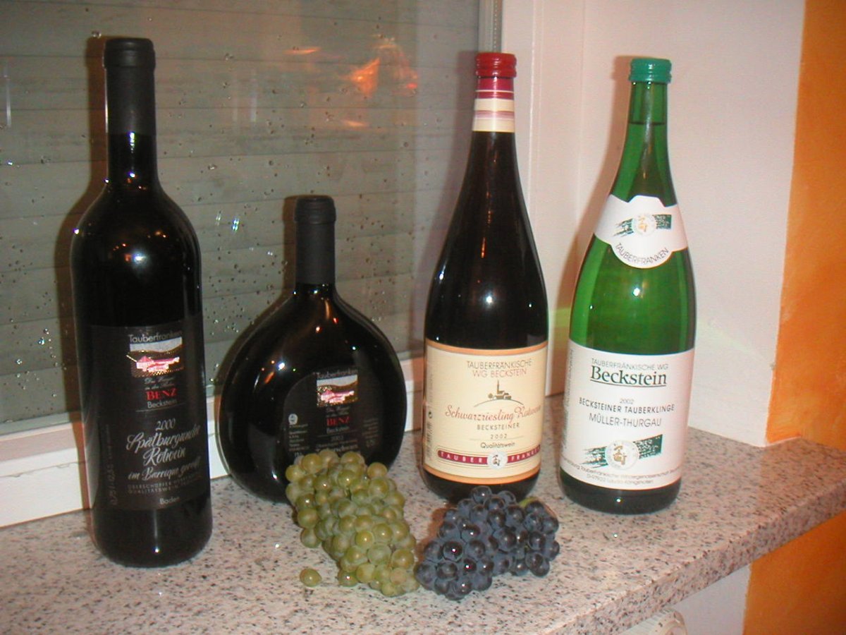 MINOLTA DIGITAL CAMERA