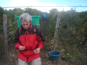 MINOLTA DIGITAL CAMERA