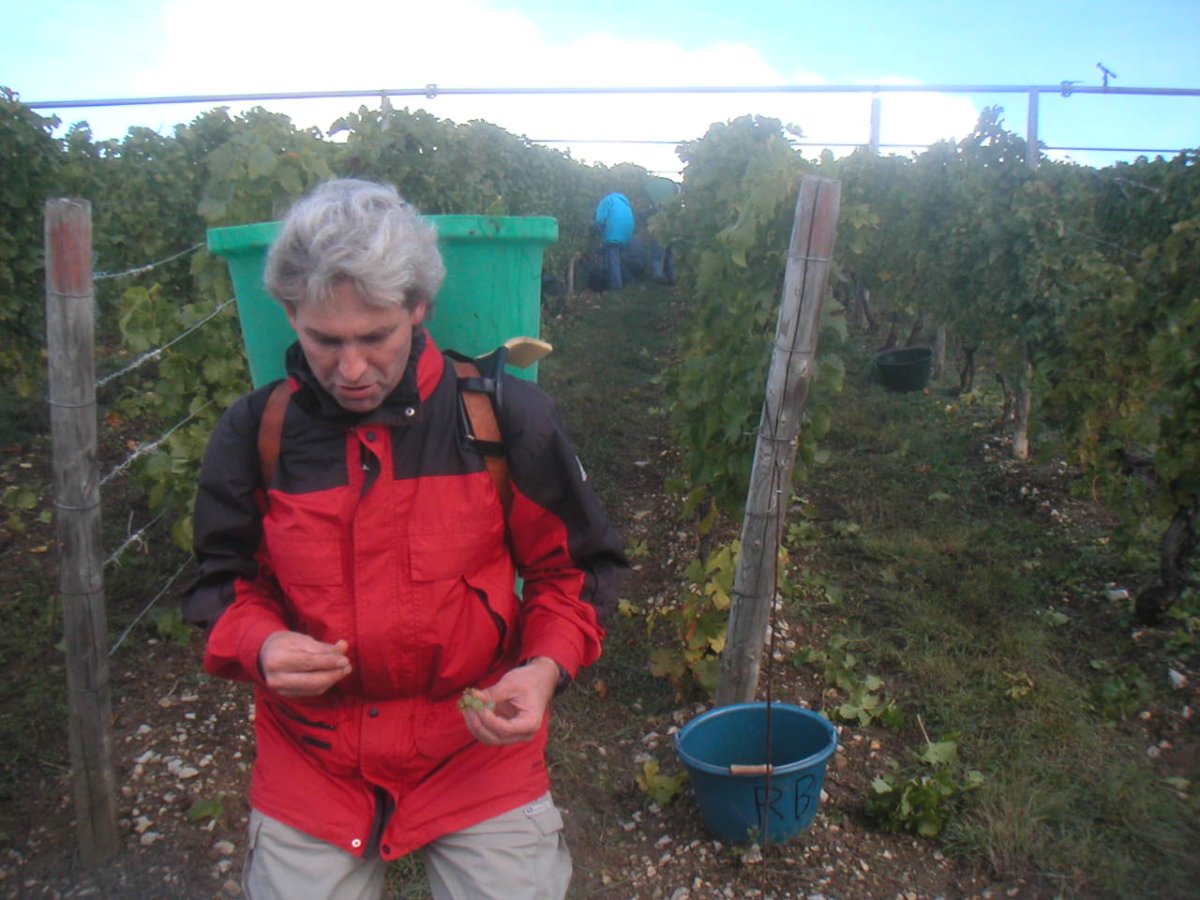 MINOLTA DIGITAL CAMERA