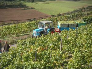 MINOLTA DIGITAL CAMERA