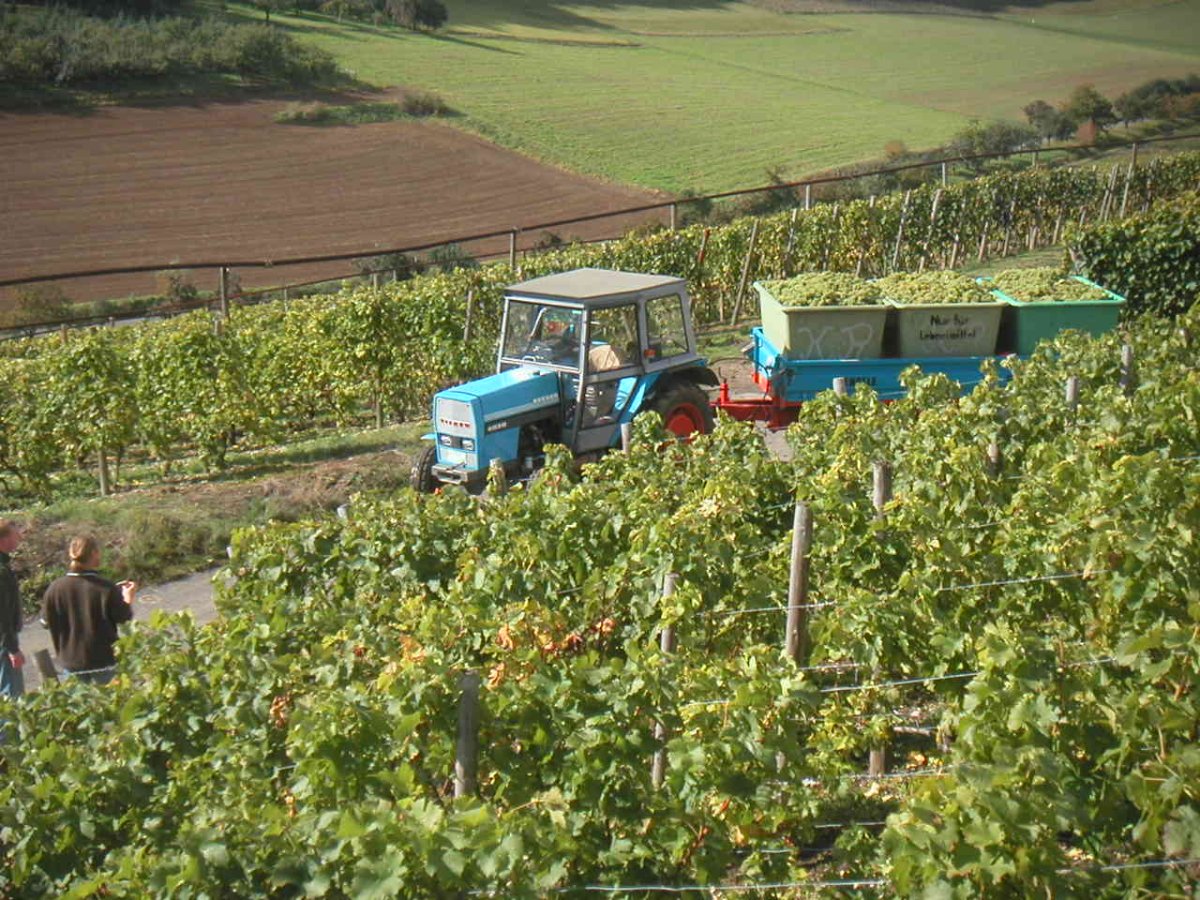 MINOLTA DIGITAL CAMERA