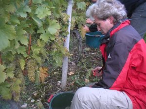 MINOLTA DIGITAL CAMERA