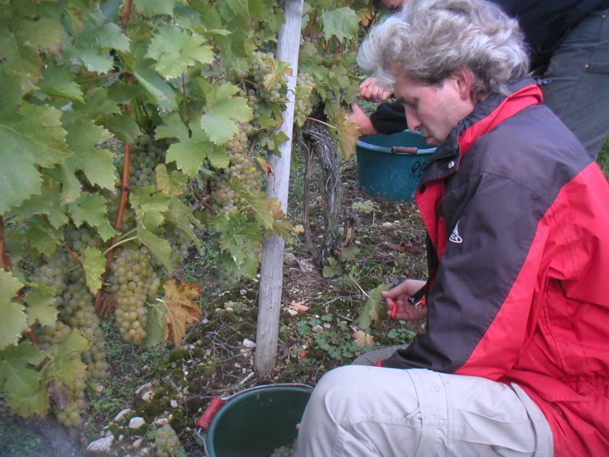 MINOLTA DIGITAL CAMERA