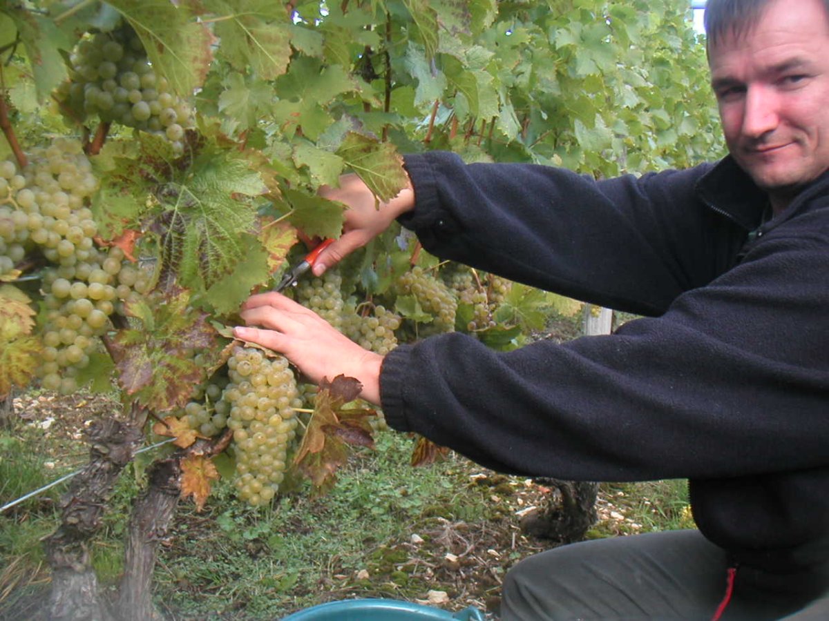 MINOLTA DIGITAL CAMERA