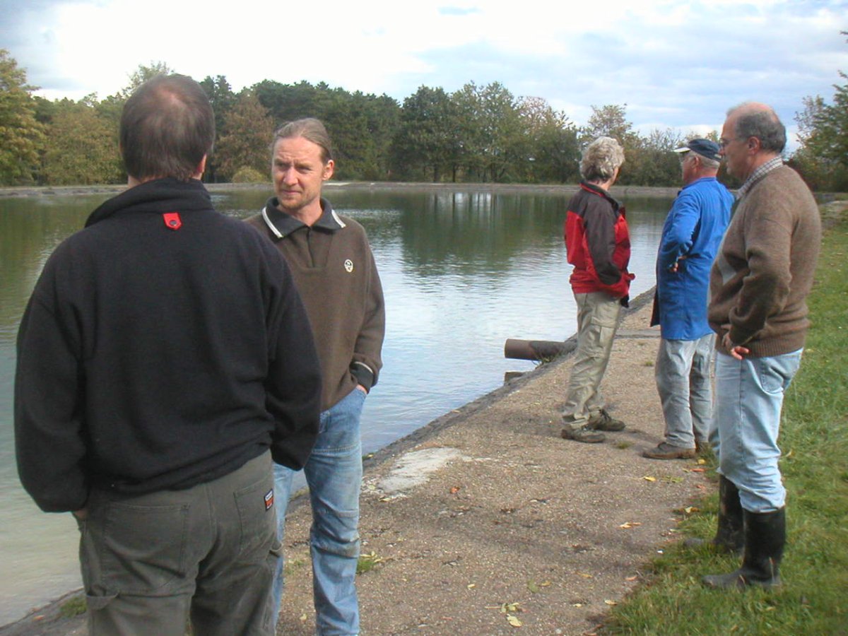 MINOLTA DIGITAL CAMERA