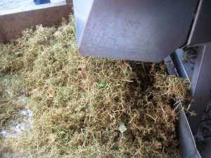 MINOLTA DIGITAL CAMERA