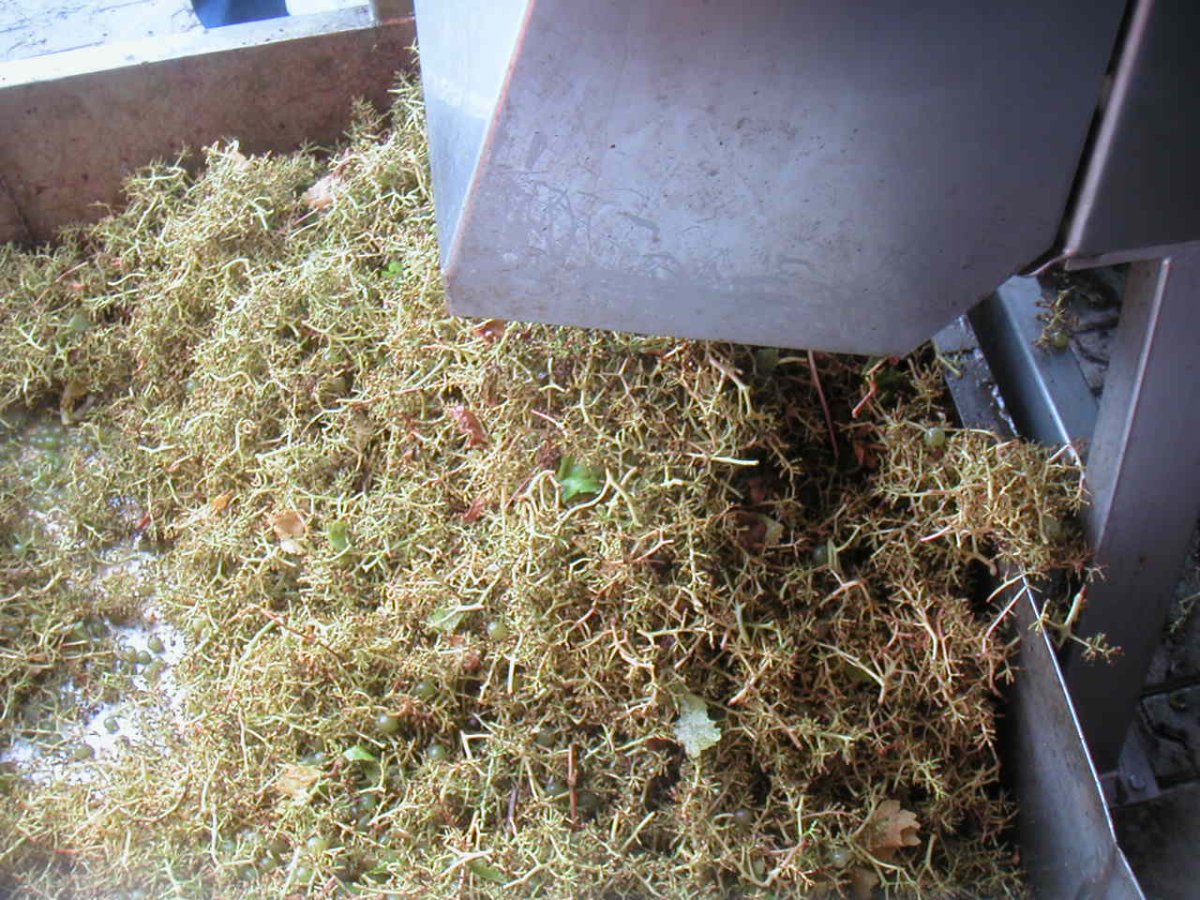 MINOLTA DIGITAL CAMERA